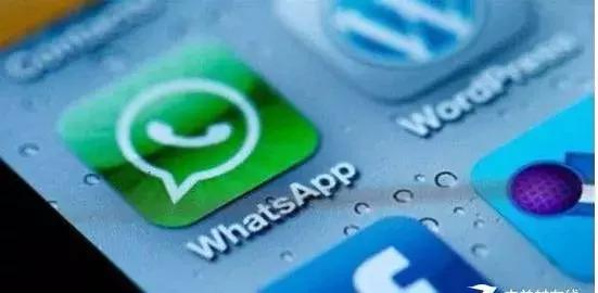 WhatsApp网页版，多人群聊协作助力团队高效沟通与协作新体验