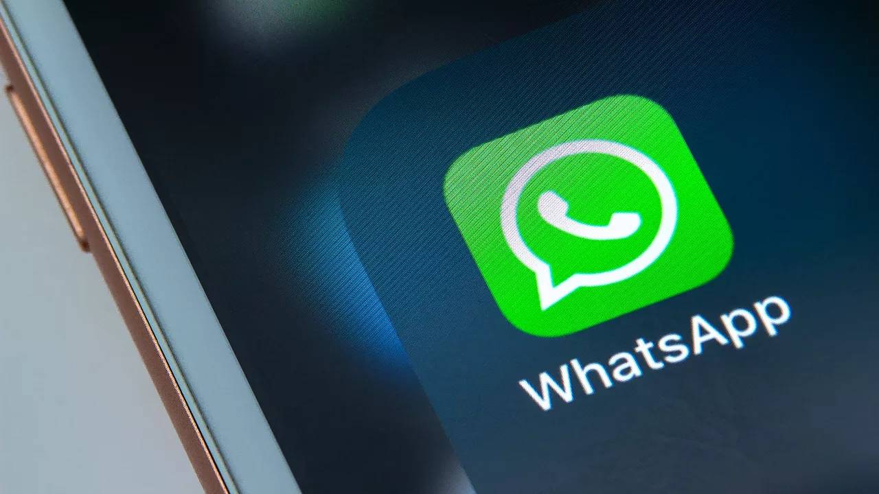 WhatsApp网页版，保障聊天记录安全同步更新的核心要素