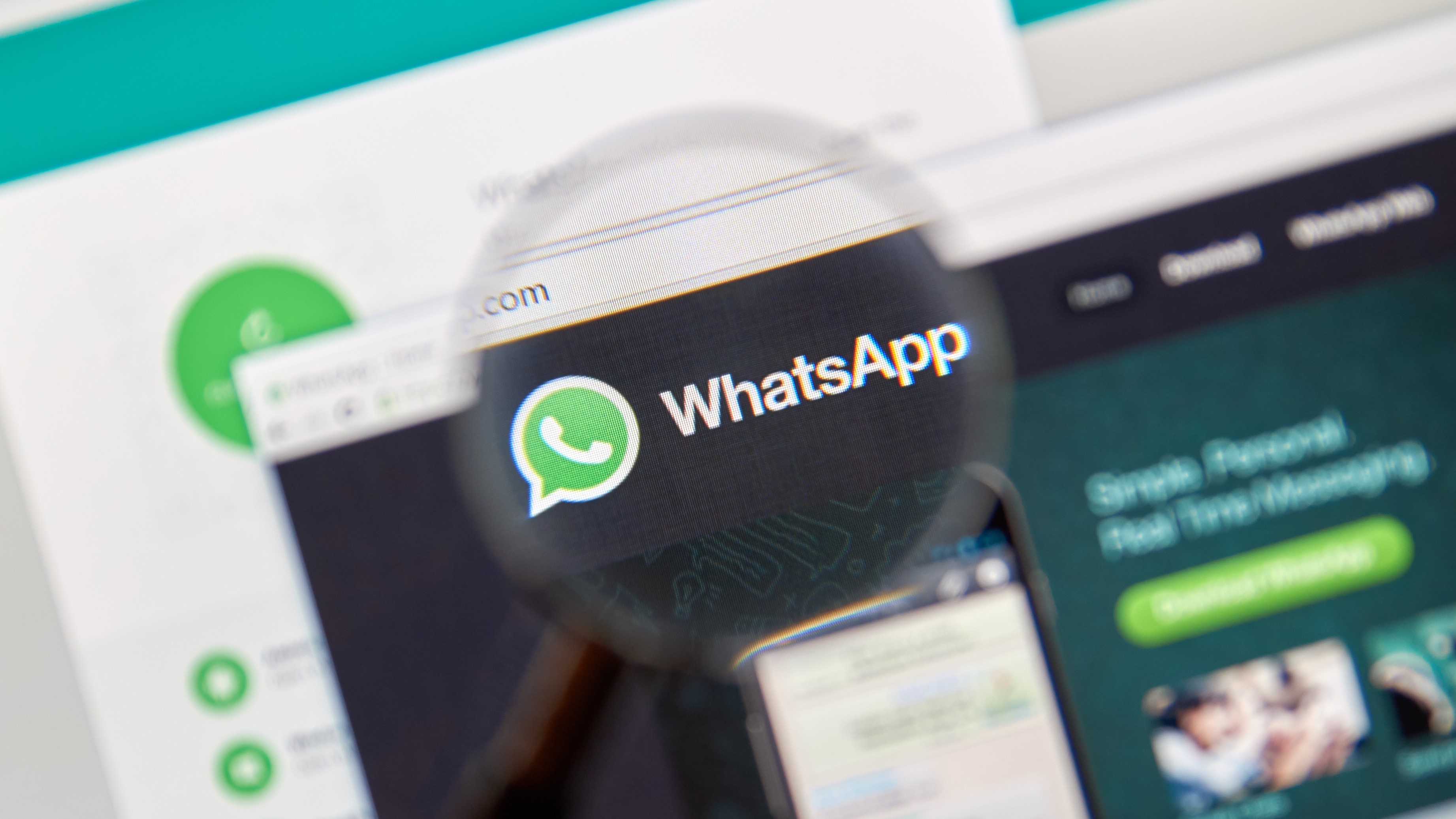 WhatsApp网页版，高效文件传输与管理轻松达成