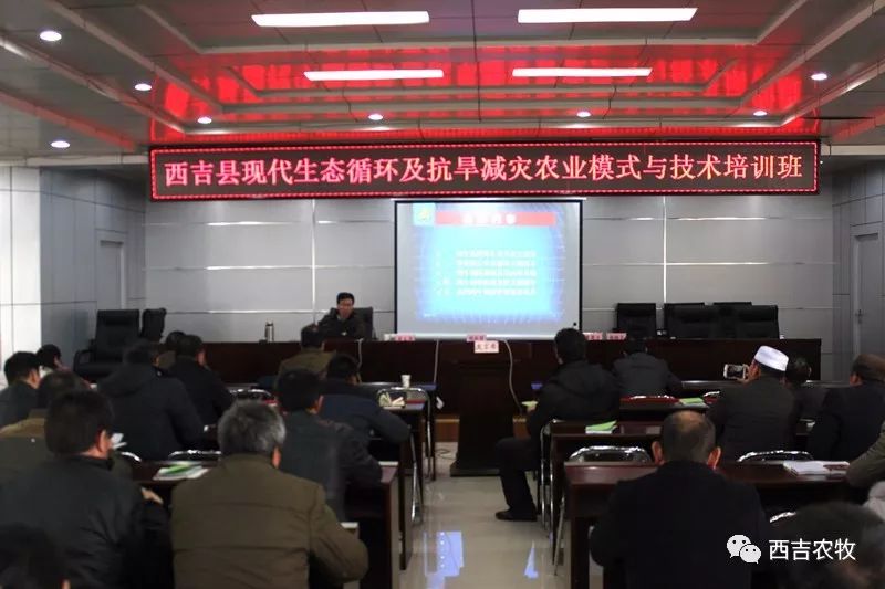 李克强要求医养结合项目实现一个窗口办理，优化服务流程，不再让市场主体奔波劳碌