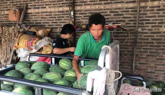 沧州黄骅试水敬老食堂，创新养老模式探索
