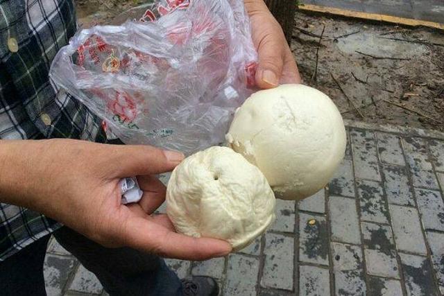 王铁岭的馒头故事，一个月捡拾的馒头重量背后的温情与坚韧