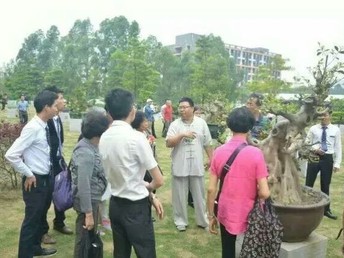 九台老年养老院价位解析