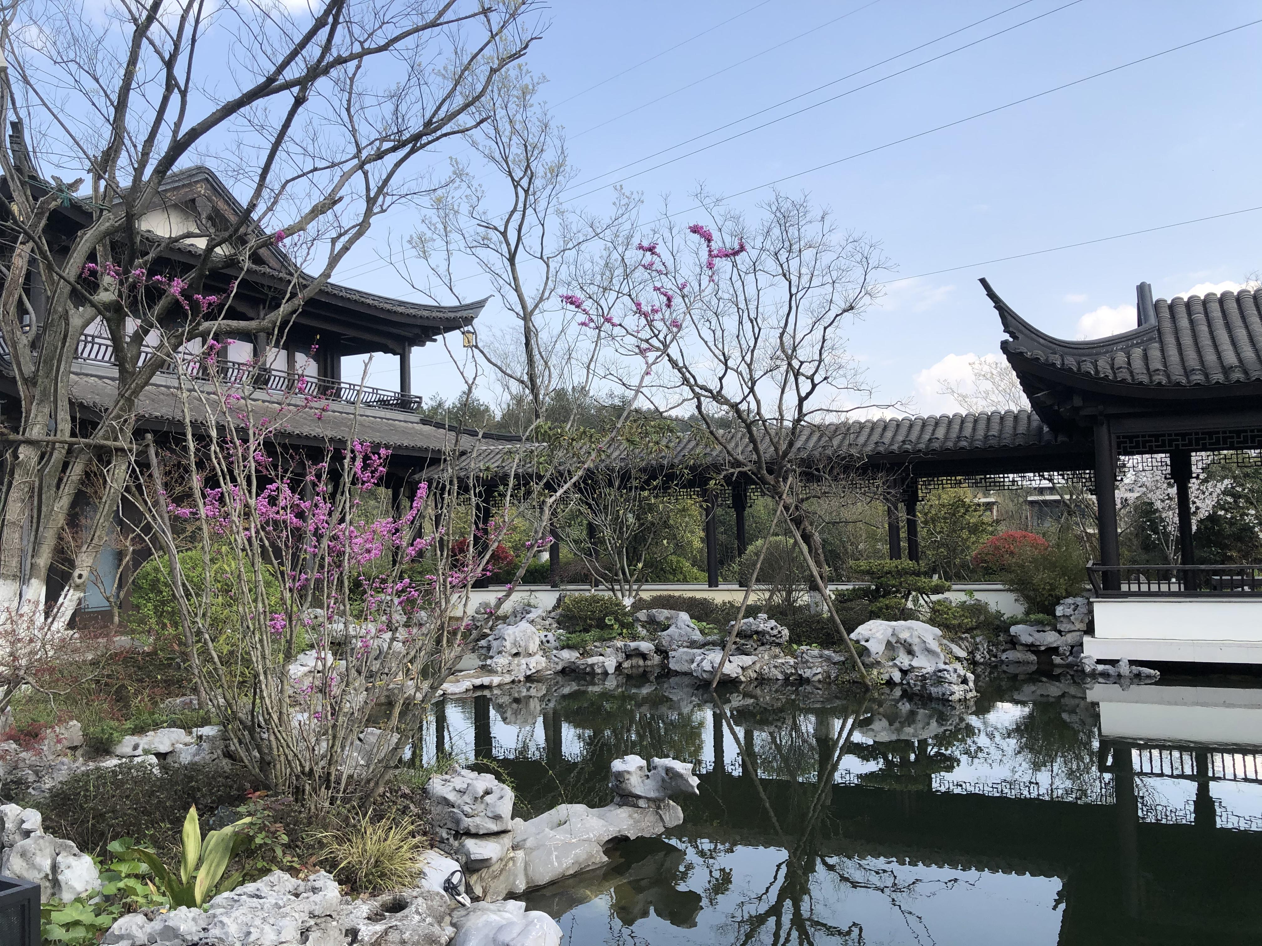 杭州养老环境与资源深度分析，老年人宜居之选