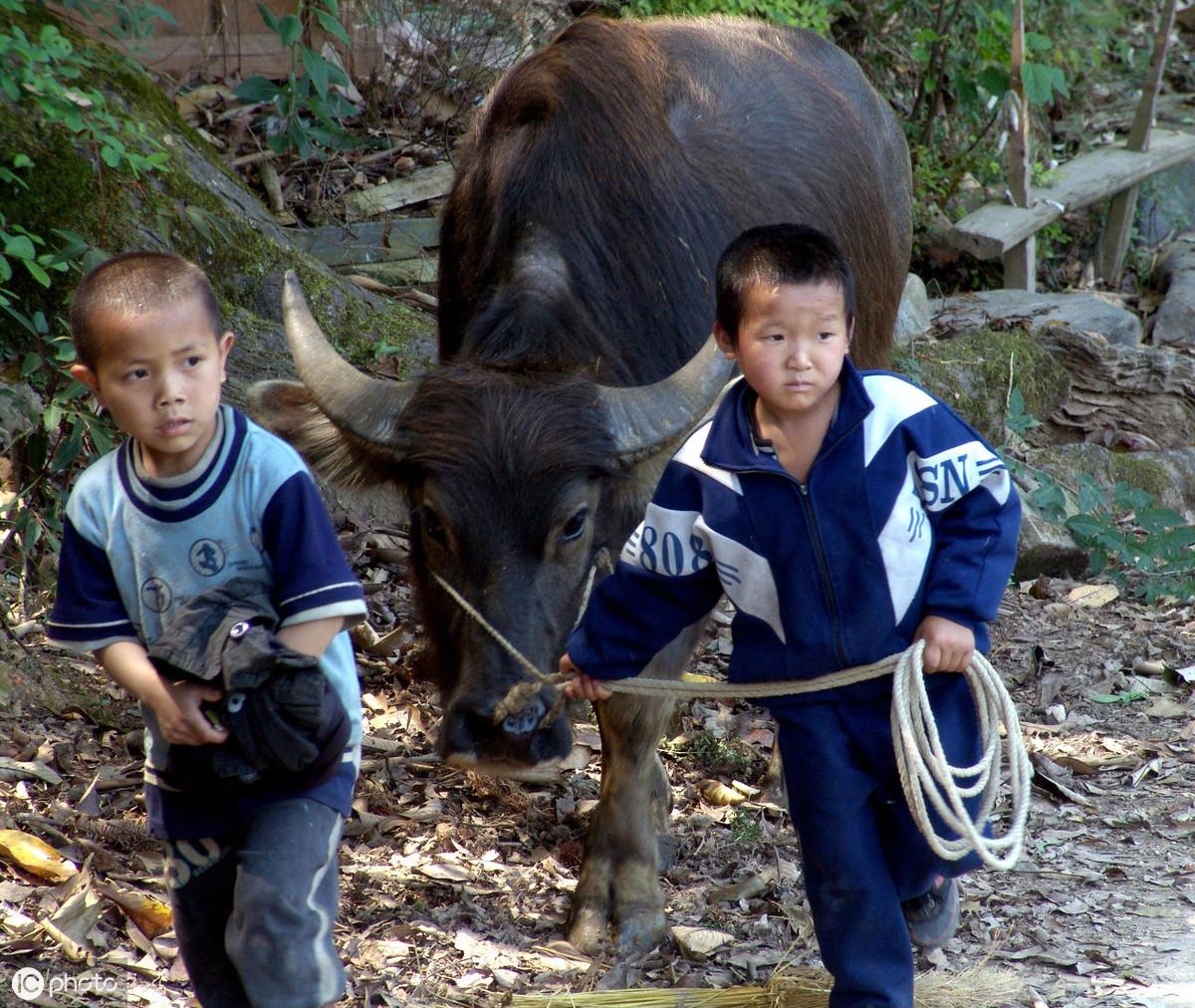 阜阳老年养老院位置介绍及温馨关怀服务