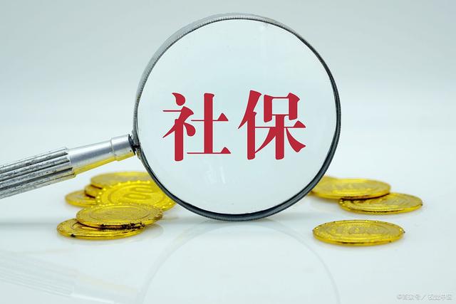 如何查询老年社保养老金的详细步骤指南