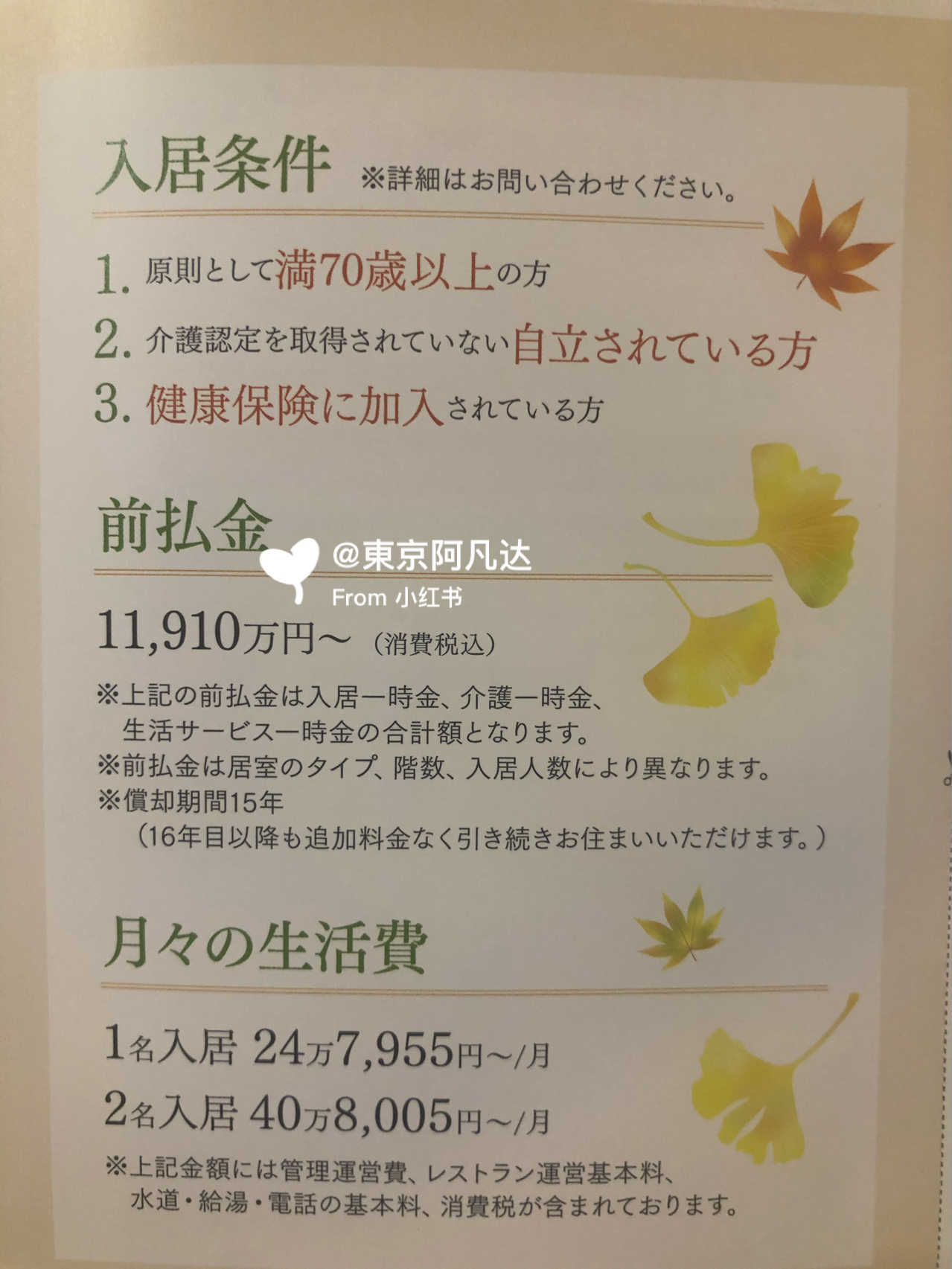 东京老年人养老金深度解析