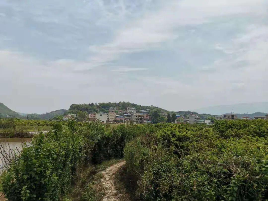 石岗镇老年养老院深度探索与体验分享，联系方式与详细体验报告