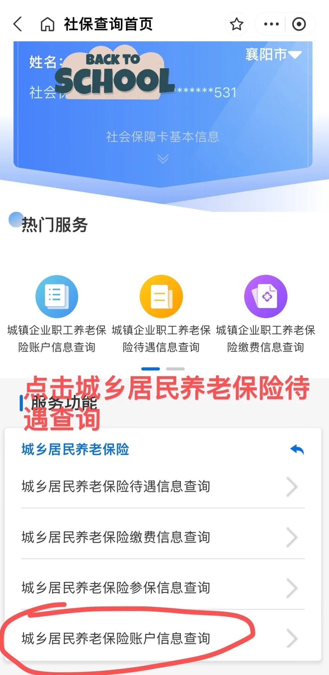 农村老年人养老保险查询，保障与便捷性的双重追求