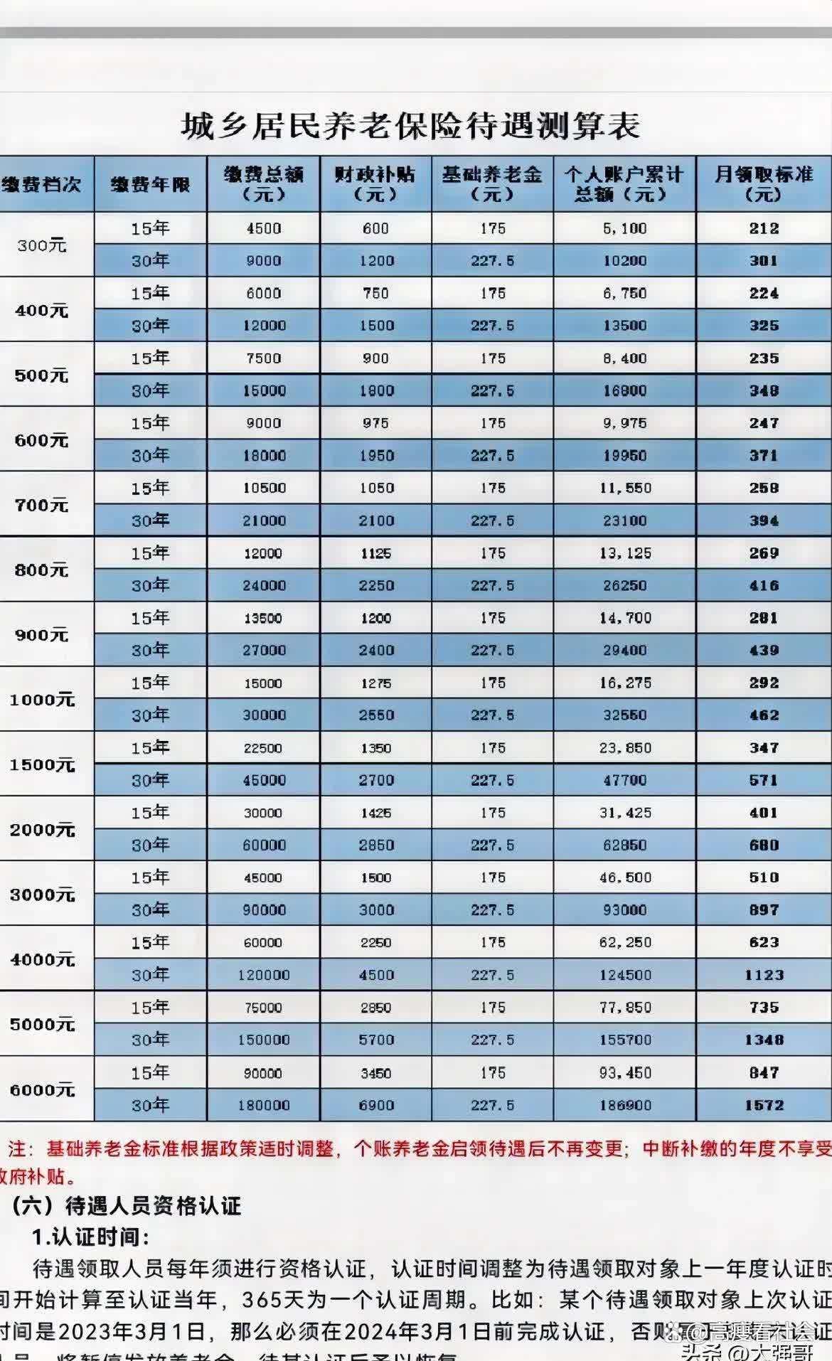 农村老年人养老保险查询，保障与便捷性的双重追求