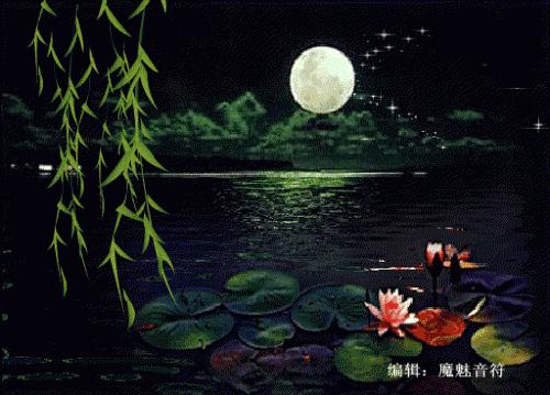 荷塘月色下的老年人养老生活之美