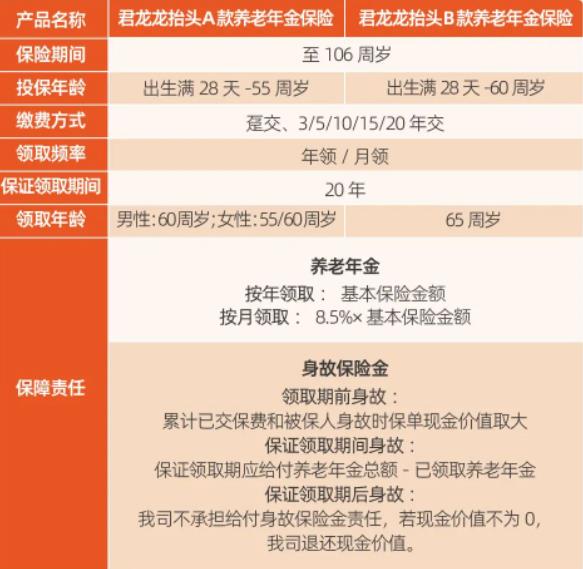 龙抬头养老年金，一种理想的养老保障方案