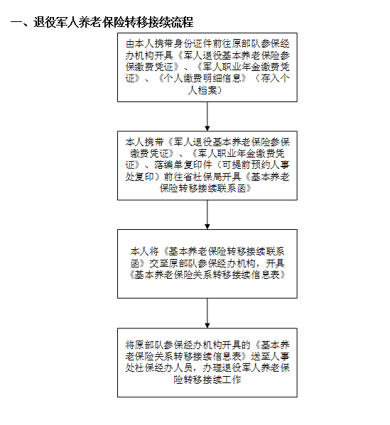 老年人养老保险审核流程全面解析
