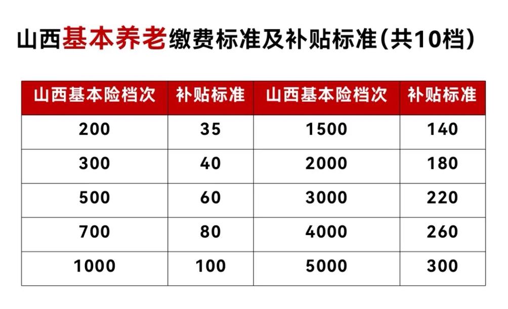 山西60岁老年人养老费，探索与解析
