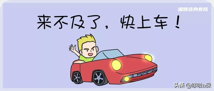 养老年金哪个更划算，全面解析与比较