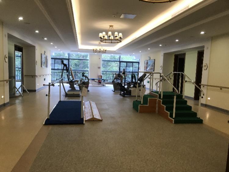 广州老年狗养老院，电话地址及更多信息详解
