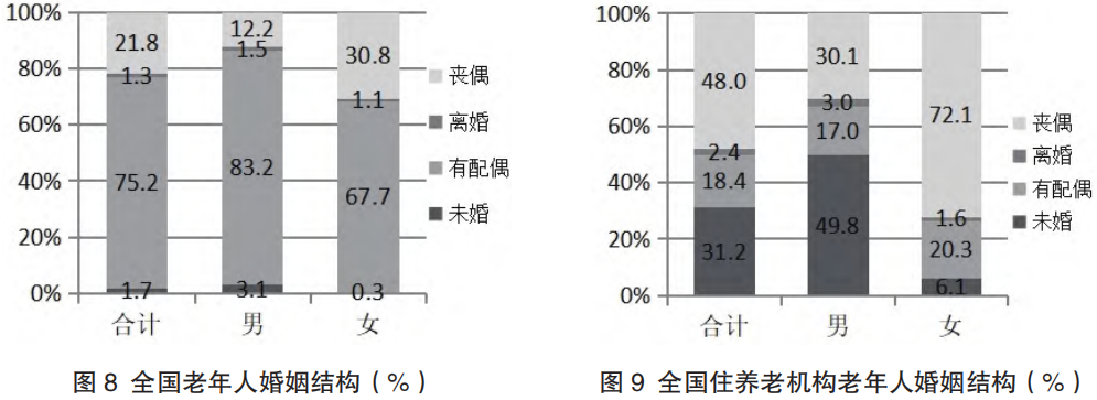 老年人养老机构比例图，揭示养老现状与挑战