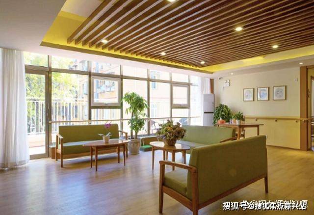 老年人养老机构好不好？全面解析其优劣与必要性