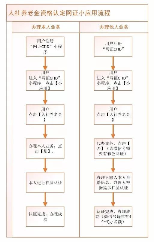 广东省养老年检认证流程全面解析