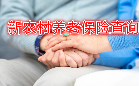 老年人养老保险查询指南
