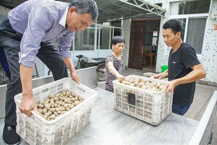 老年人养老房送货上门，一种全新的养老服务模式探索