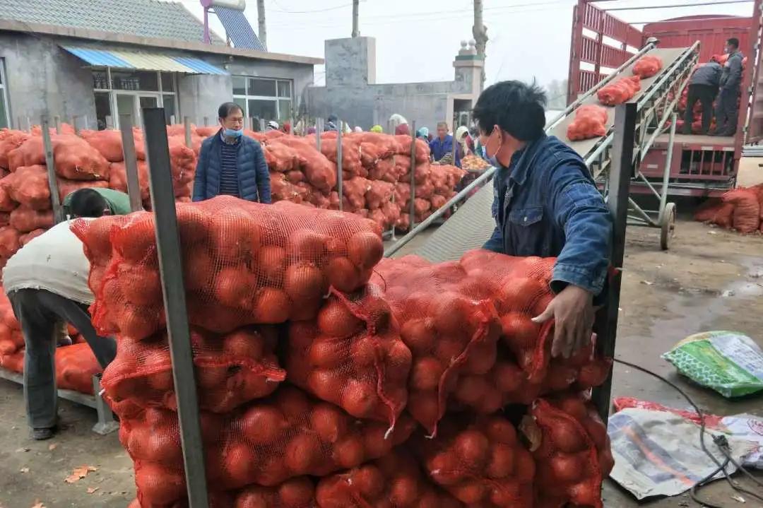 老年人养老房送货上门，一种全新的养老服务模式探索