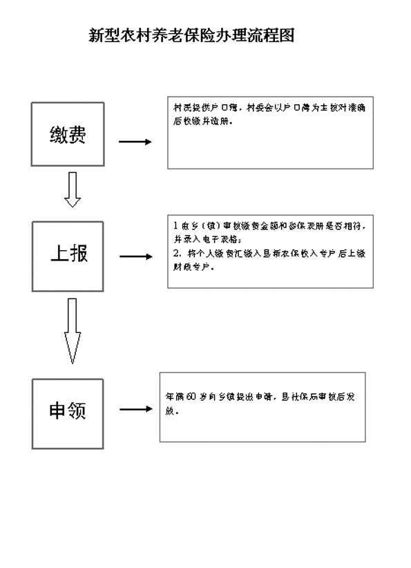 江西农村养老年检流程图，全面解读与操作指南