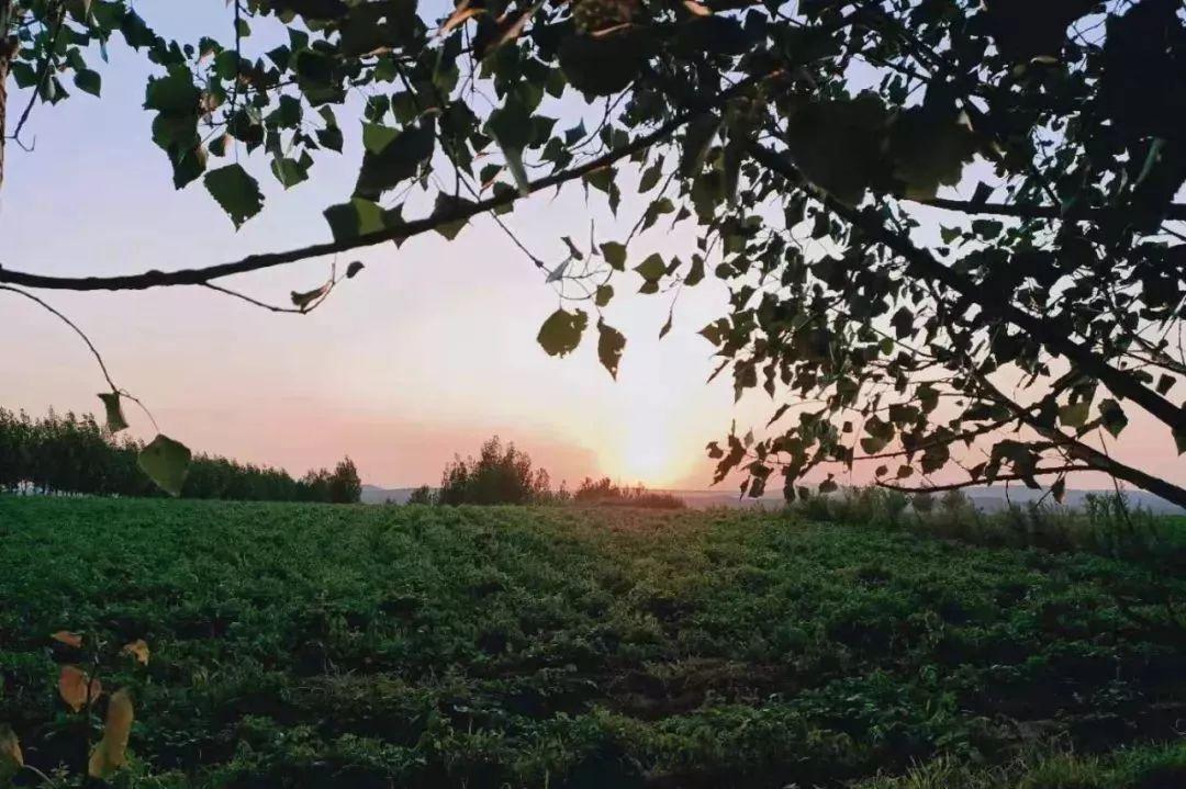 金色夕阳养老年金保险（A款），守护您的黄金岁月