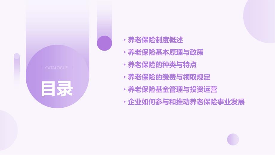 老年保障与养老保险的PPT解读