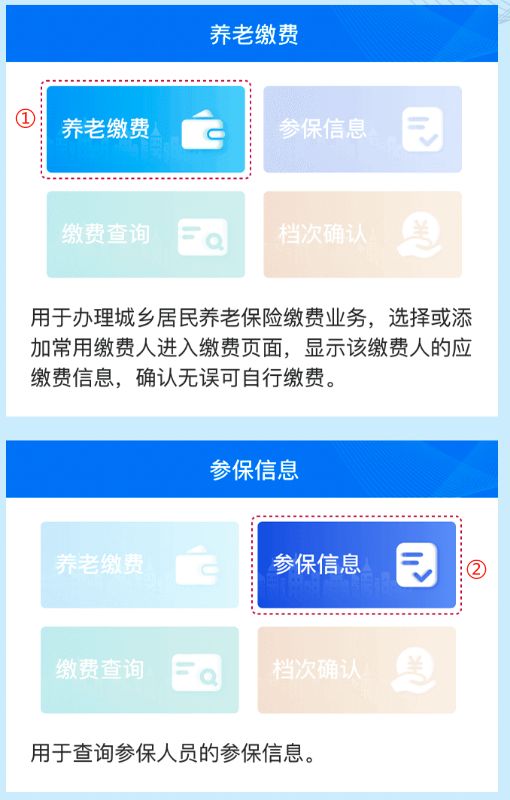 老年人养老保险缴费方式，多元化便捷选择解析
