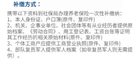 关于老年人养老金补缴材料的全面解析