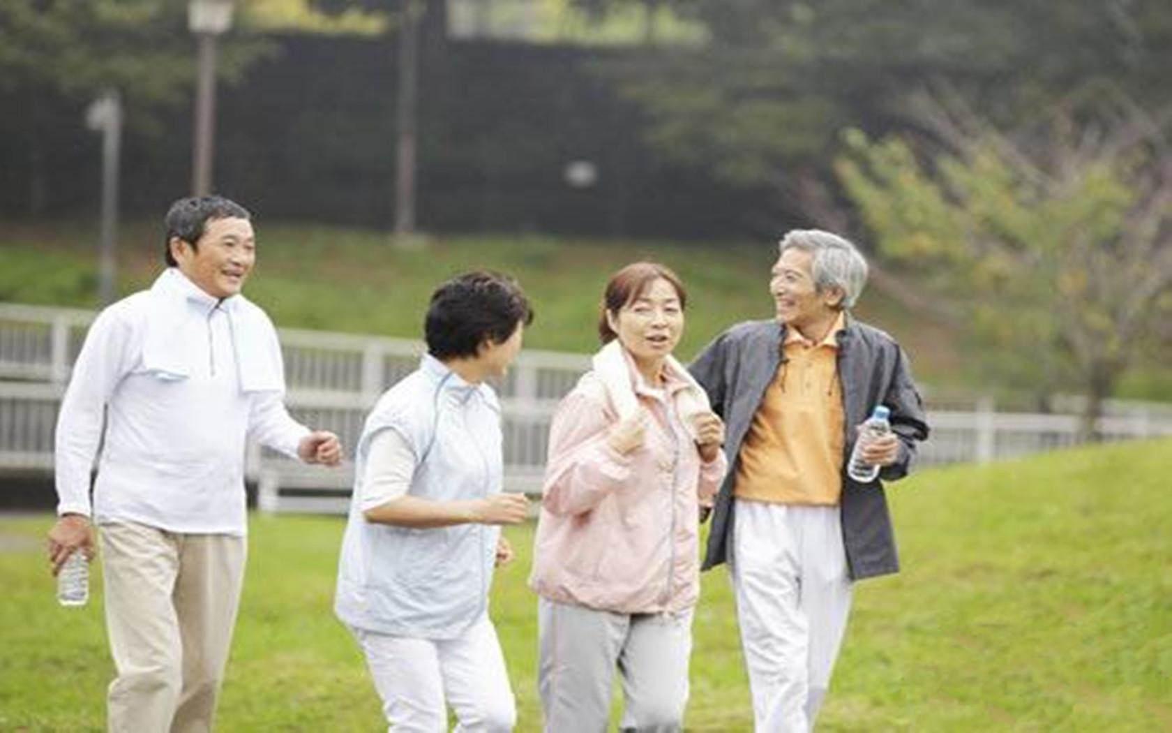 老年人养老金项目概况