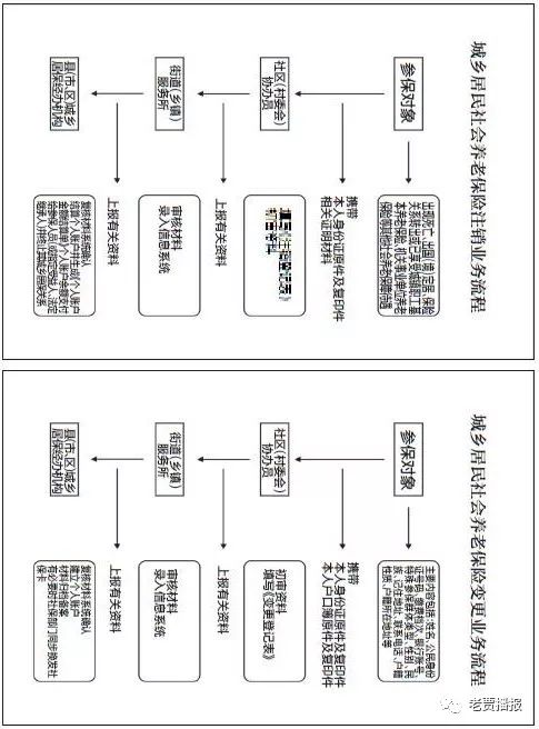 养老年金网上购买流程图，轻松便捷的一站式服务