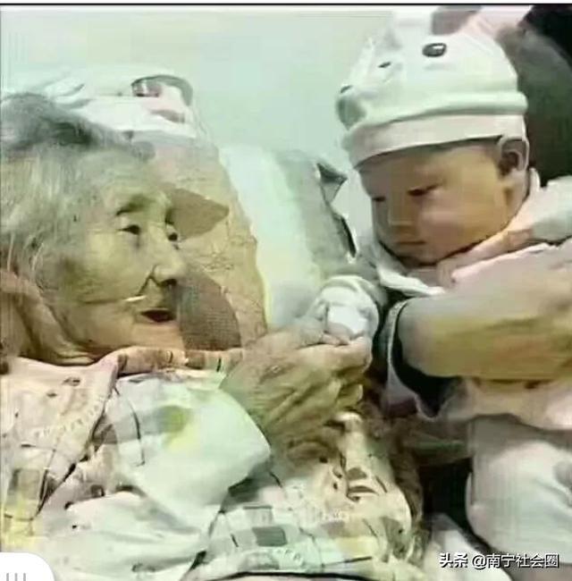 赡养老年痴呆老人的条件，理解、耐心与专业的结合