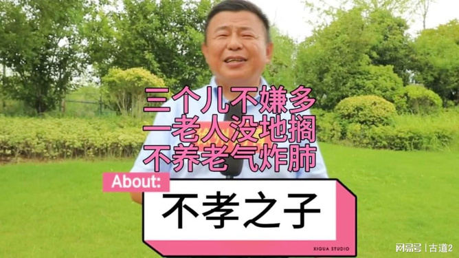 深度解析与反思，父母不养老年人的法律责任与道德伦理探讨