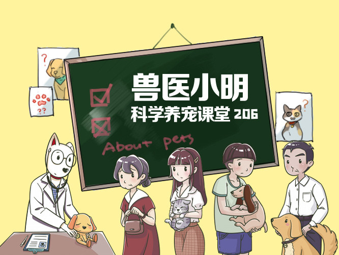 父母不养老年人是否犯法，深度解析与反思
