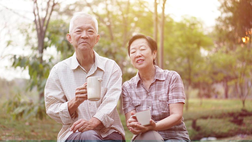 农村老年养老院怎么办，策略与实践