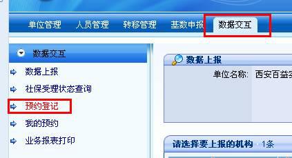 公司养老年审，深度解读与意义