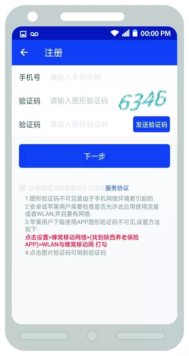 公司养老年审，深度解读及其重要性