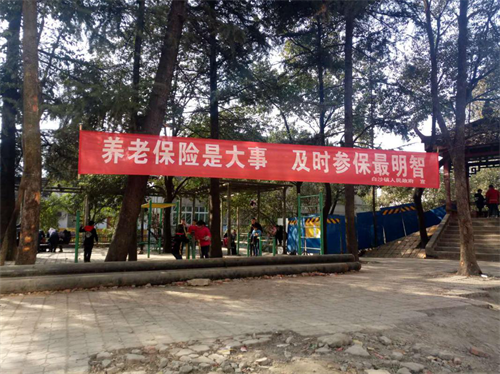 养老年金保险，守护您的未来，让您的生活无忧
