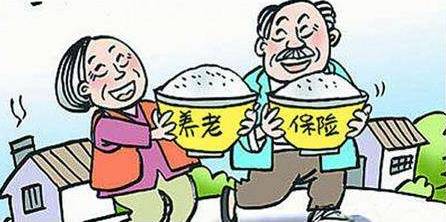 大堰是否适合老年人养老，环境与需求的综合考量