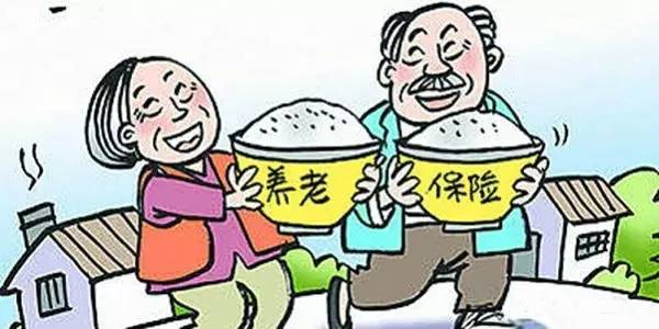 老年养老险交纳年数解析