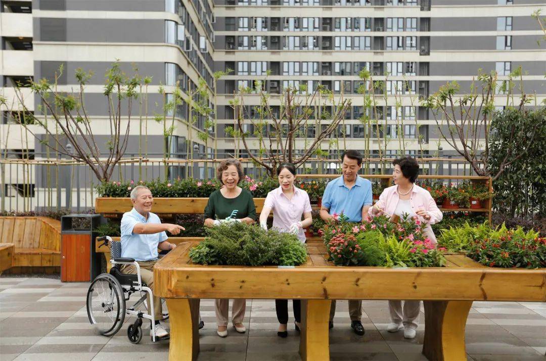 润花园适合老年人养老吗？深度探讨居住环境对老年生活的适宜性