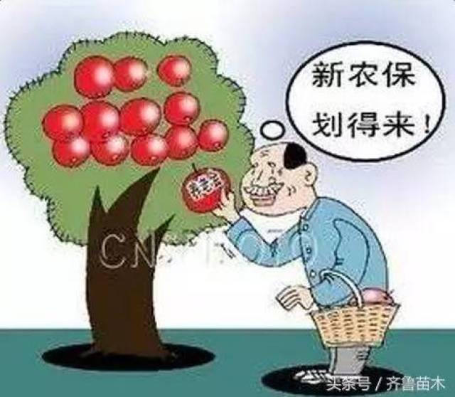 山东老年人养老保险补交政策解读及操作指南
