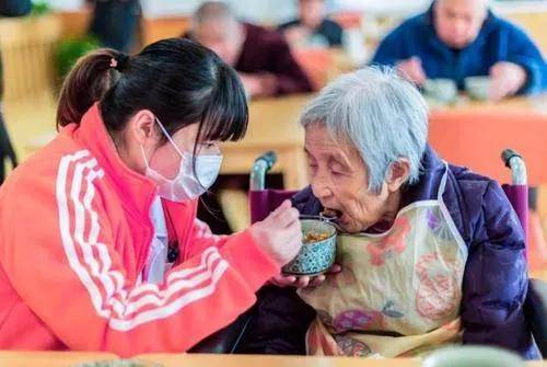 家庭式老年养老院收费，理解其结构与服务价值