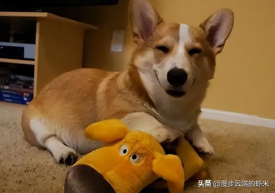 上海老年人在养老院面临阳性的挑战与应对策略