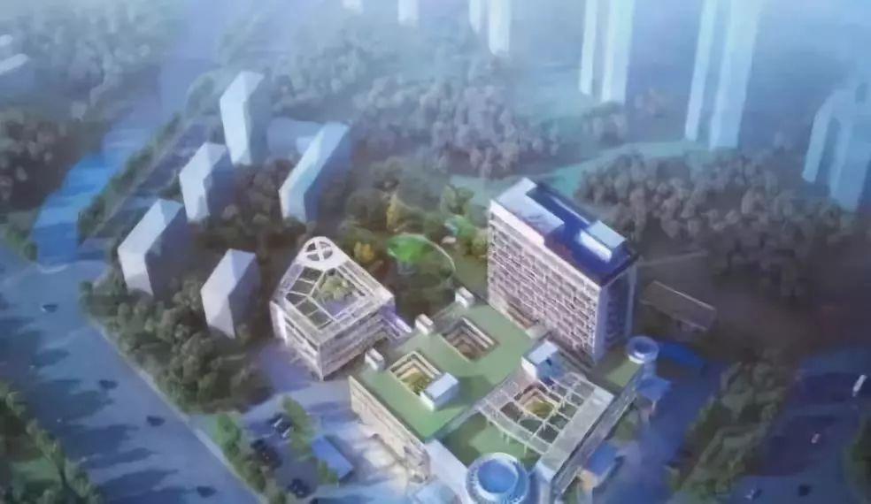 南沙老年人养老院——为长者打造温馨家园的地址详解