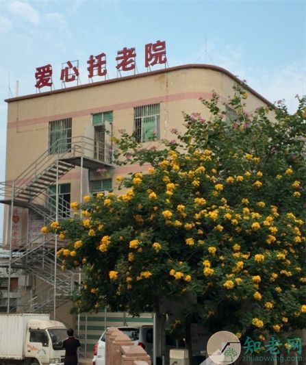 从化老年养老院电话号码，了解养老服务与联系方式的重要性