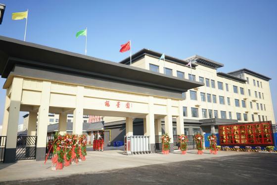 泊头市农村老年养老金的发展与影响