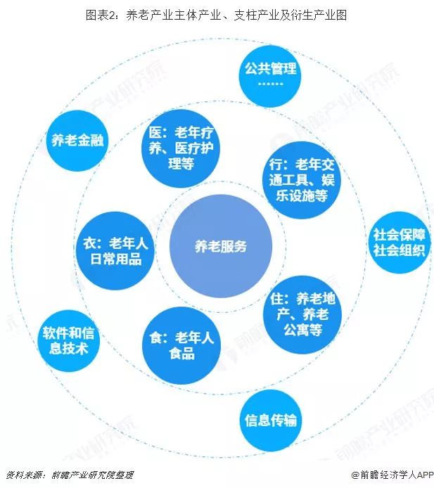 老年人养老系统市场分析